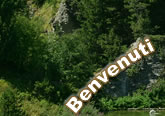 Benvenuti