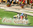 Foto Gallery