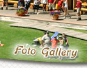 Foto Gallery